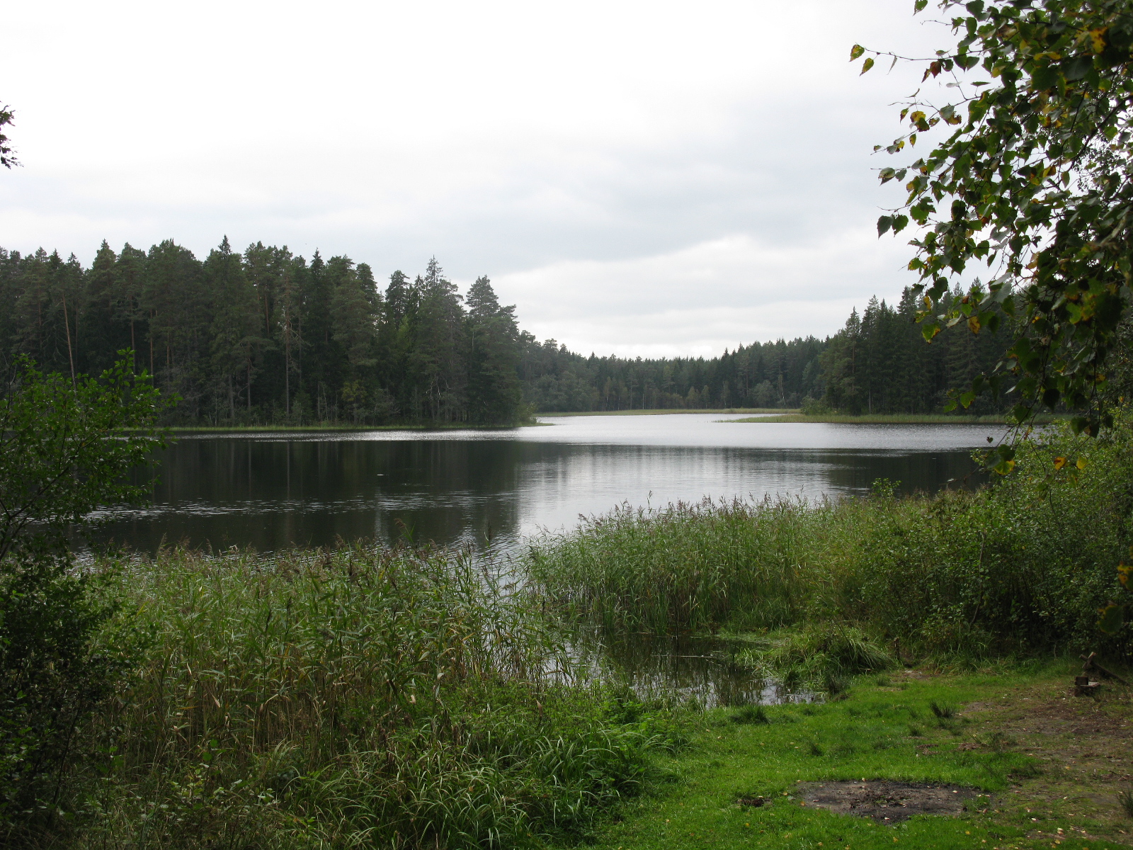 Kooraste Kõverjärv