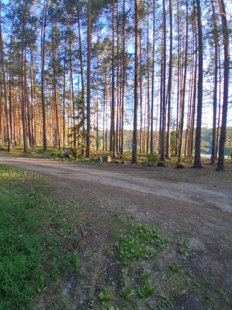 Valgõjärv