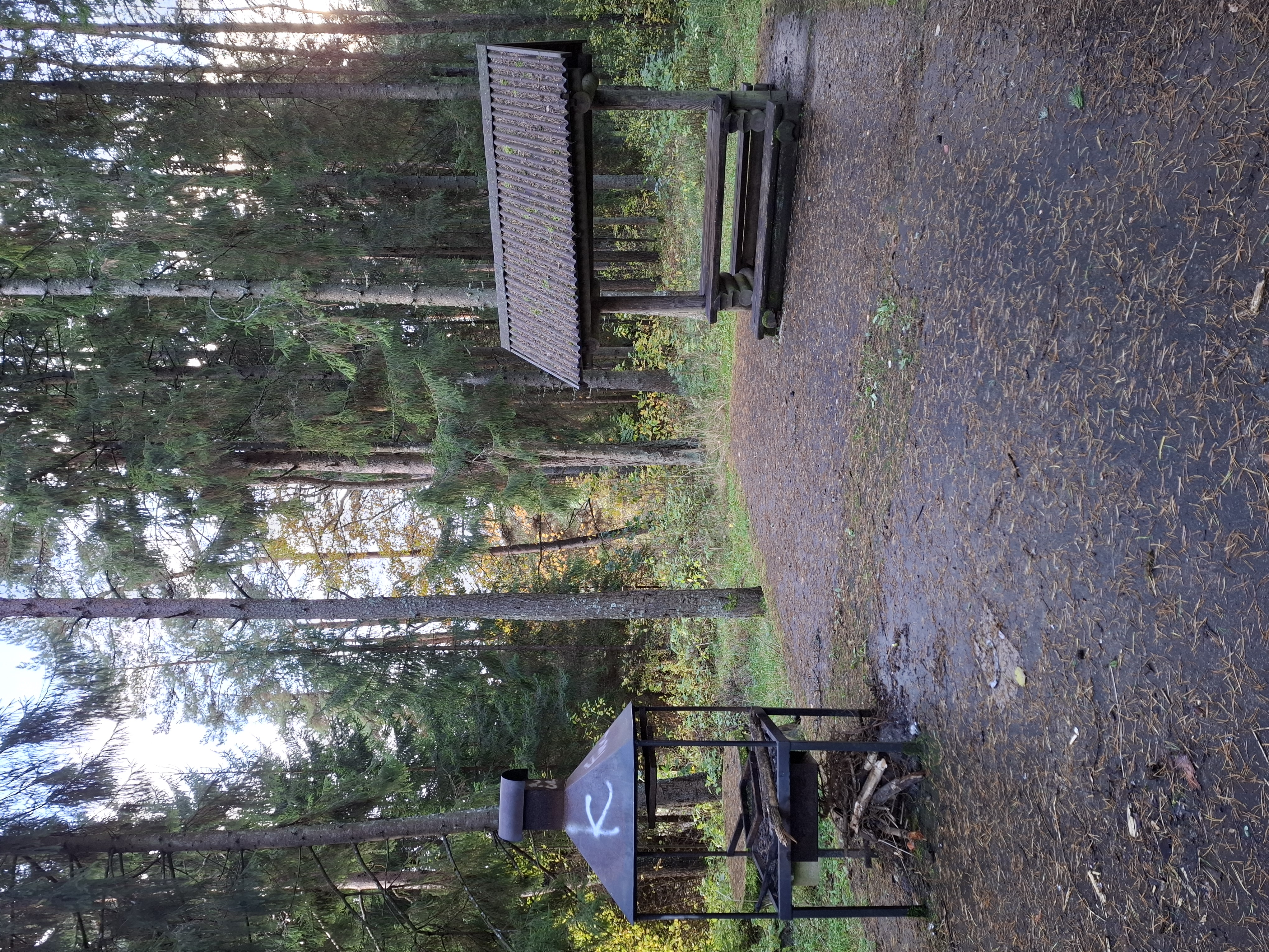 Parksepa grillkoht
