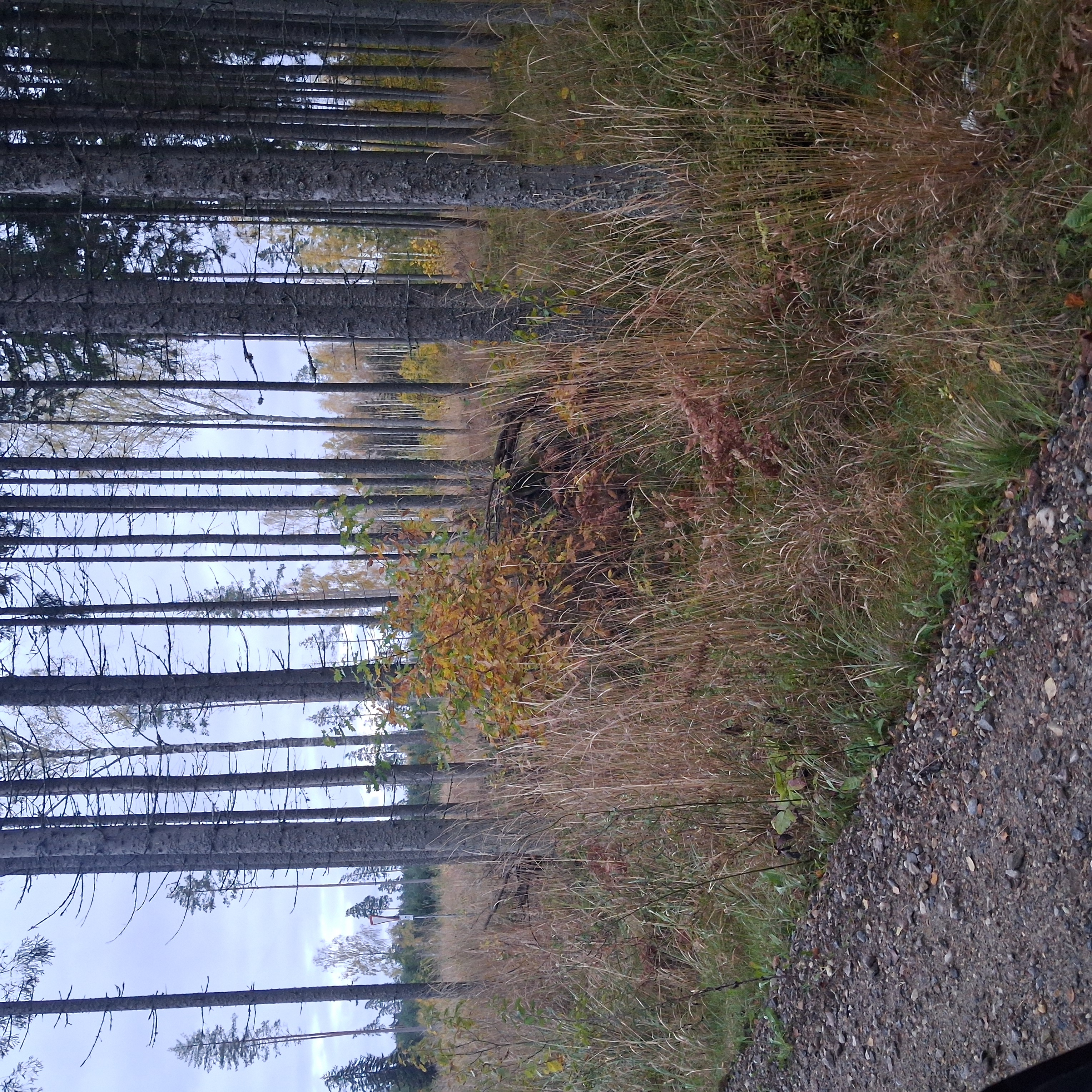 test koht2